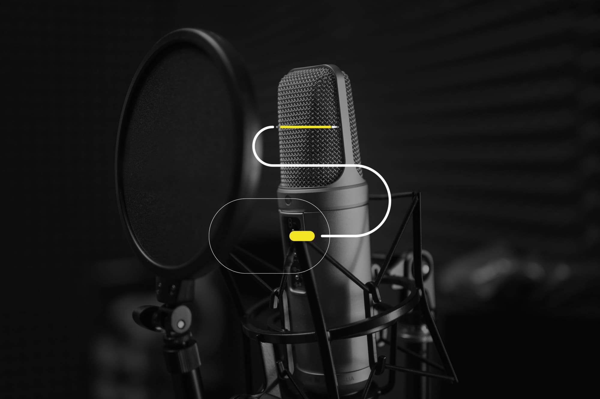 Microfono a condensatore con filtro anti-pop per sessioni di speakeraggio